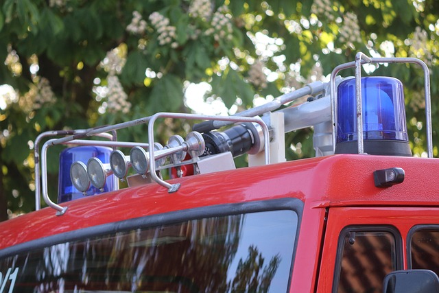 fire fighters, blue light, fire truck, vehicles, fire fighting, mission, fire